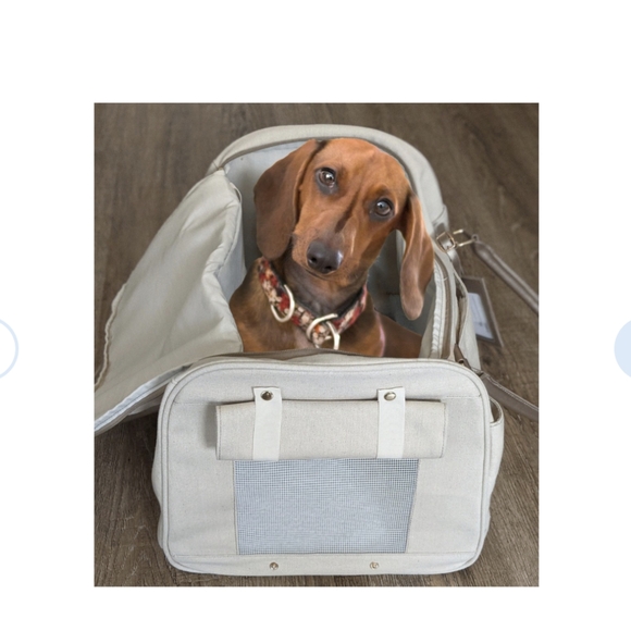 Canvas pet carrier, cream with gold handles, NWT - Picture 3 of 6